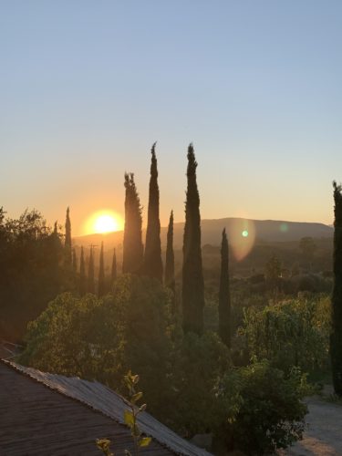 メキシコワインと言えば「Valle de Guadalupe (グアダルーペバレー)」