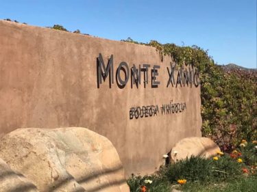 メキシコ初のプレミアムワイン生産者、”Monte Xanic”